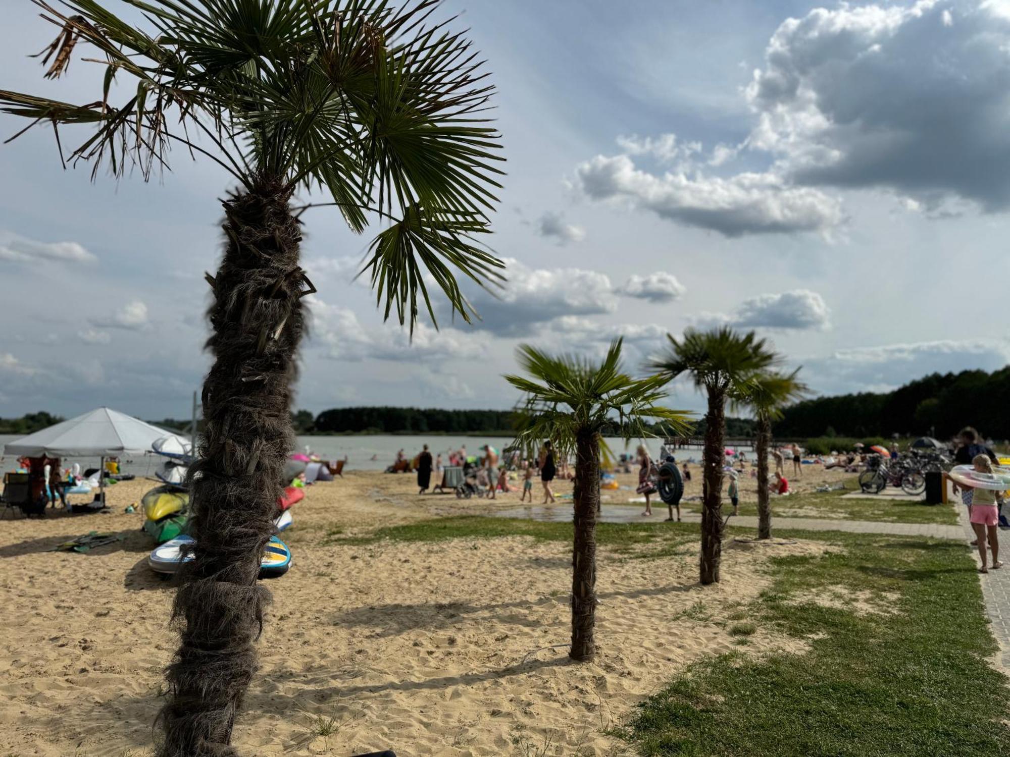 Apartament Nad Zalewem Zamość Eksteriør billede